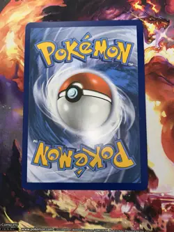 Pokemon 25th Anniversary Collector's Binder + 10 Jumbo Card Lot NM-MINT - Image 3