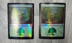 MTG Magic the Gathering Forest (374/423) Strixhaven School of Mages FOIL X 2 - Image 1
