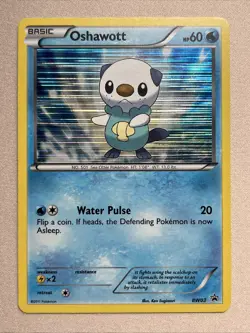 Pokemon Card - Oshawott - Holo Black Star Promo (BW03) Black & White NM - Image 1