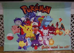 Original Pokemon Laminated Poster & 17 Digimon Cards From The 1990s Good Conditi - Image 2