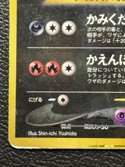 Houndoom 229 Crossing the Ruins Holo (Japanese) Pokemon TCG HP - Image 5