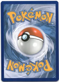Oshawott SWSH222 Promo SWSH Black Star Pokemon Holo NM - Image 2