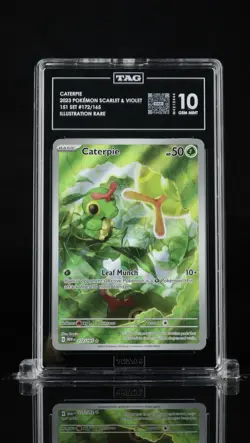 TAG 10 GEM MINT Caterpie 151 Illustration Rare English 2023 Pokemon Holo 172/165 - Image 1