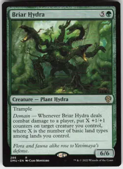 Magic the Gathering MTG Briar Hydra () Dominaria United R 286 LP - Image 1
