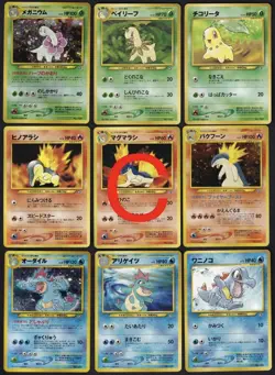 Pokemon Neo Premium File 1 Promo Folder 9 Card Set Japanese - Image 3