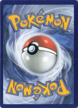 Mega Charizard Y EX 030 Holo Promo Pokemon TCG Ascended Heroes BRAND NEW! - Image 2