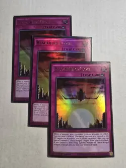 Yugioh! 3x Blackbird Close L5DD-ENC25 Ultra Rare 1st Ed NM - Image 1