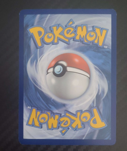 Cramorant 176/167 Illustration Rare Twilight Masquerade Pokemon English - Image 2