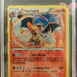 Pokemon 2012 Charizard B&W Boundaries Crossed Holo PSA 1 - Image 2