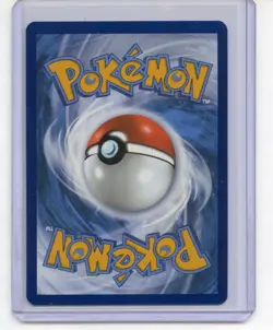 N's Zorua SVP 189 Scarlet & Violet Black Star Promo Pokemon Card Mint - Image 2
