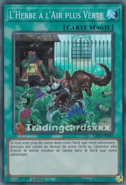 Yu-Gi-Oh! L'Herbe a l'Air plus Verte : SR RA03-FR063 - Image 1