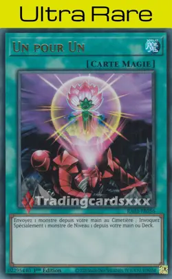 Yu-Gi-Oh! Un pour Un - V.1 : UR RA03-FR056 - Image 1