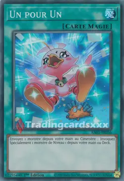 Yu-Gi-Oh! Un pour Un - V.2 : SR RA03-FR056 - Image 1