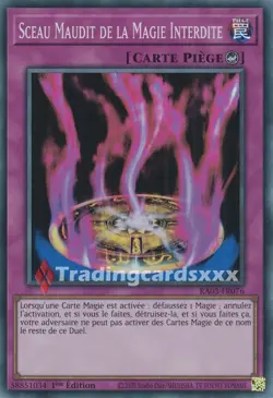 Yu-Gi-Oh! Sceau Maudit de la Magie Interdite : SR RA03-FR076 - Image 1