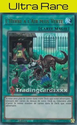 Yu-Gi-Oh! L'Herbe a l'Air plus Verte : UR RA03-FR063 - Image 1