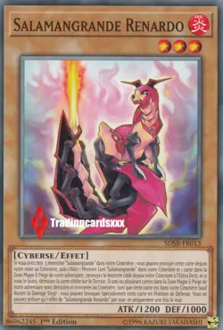♦Yu-Gi-Oh!♦ Salamangrande Renardo (Foxer) : SDSB-FR013 -VF/Commune- - Image 1