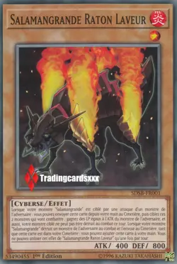 ♦Yu-Gi-Oh!♦ Salamangrande Raton Laveur (Raccoon) : SDSB-FR001 -VF/Commune- - Image 1