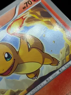 Charmander 010/059 BW6 Boundaries Crossed Freeze Bolt Japanese Pokemon Card - Image 4