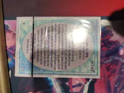 Wizards of the Coast Magic: The Gathering Ice Age Starter Deck 792491047595 - Image 2