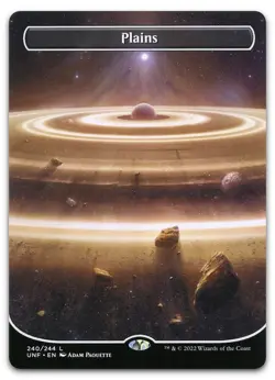 Plains (240) (Borderless) #240 (NM) Unfinity UNF Magic MTG - Image 1