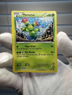 Pokemon McDonalds 2011 Promo Lot Pidove Maractus Blitzle MP (3 Cards) - Image 5