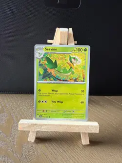 Black Bolt Singles - Choose Your Cards Common/Uncommon/Holo/Reverse Holo - Image 4