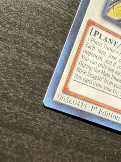 Bramble Rose Dragon (SECRET RARE) DOOD-EN039 (NM) 1st Edition Konami Yu-Gi-Oh! - Image 4