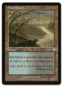 Salt Marsh #326 (NM) Invasion INV Magic MTG - Image 1