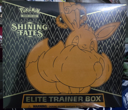 Pokemon Shining Fates Elite Trainer box, still factory sealed - Image 1