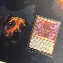 Mtg Soul Immolation - Lorwyn Eclipsed + Bonus Foils - Image 1