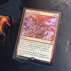 Mtg Soul Immolation - Lorwyn Eclipsed + Bonus Foils - Image 3