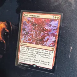 Mtg Soul Immolation - Lorwyn Eclipsed + Bonus Foils - Image 4