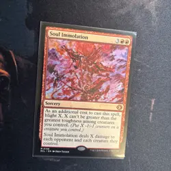 Mtg Soul Immolation - Lorwyn Eclipsed + Bonus Foils - Image 5