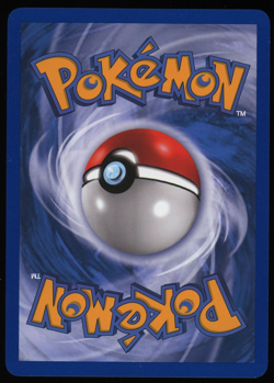 Pokemon 2002 Aquapolis - Apricorn Forest - Non-Holo Rare - NM - 118 - Image 2