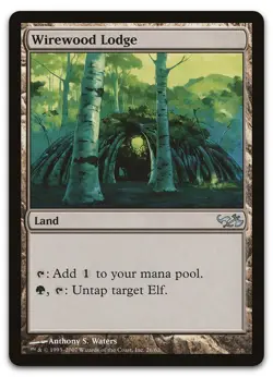 Wirewood Lodge #26 (NM) Elves vs Goblins EVG Magic MTG - Image 1