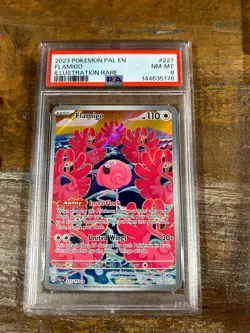 POKEMON 2023 Paldea Evolved Illustration Rare FLAMIGO #227 PSA 8 RARE - Image 1