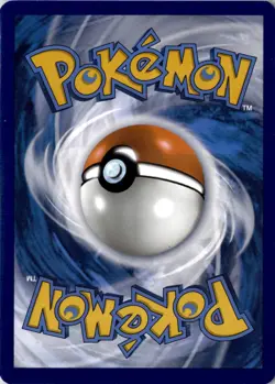 Raboot 027/142 Stellar Crown Common Reverse Holo Pokemon Card HP - Image 2