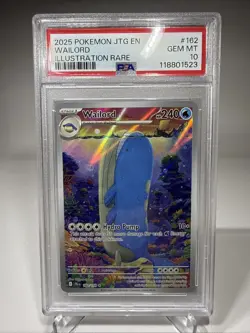 Pokemon Journey Together: Wailord Illustration Rare• 162/159 PSA 10 - Image 1