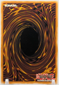 🔥1996 Yu-Gi-Oh! Counselor Lily TDGS-EN081 The Duelist Genesis Unlimited🔥 - Image 2