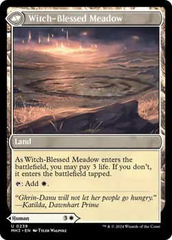 Witch Enchanter/Blessed Meadow 239 MH3 MTG Foil Human Warlock Land White Walpole - Image 2