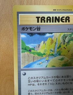 Pokemon CoroCoro Promo Tag Pokemon Valley Glossy 1999 Japanese Card NM - Image 3