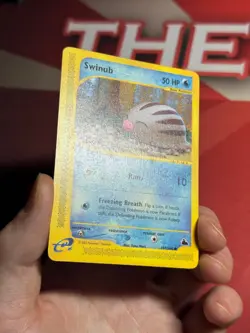 SWINUB 107/144 Skyridge non-holo E-Series / E-Reader Pokemon TCG card NM - Image 2