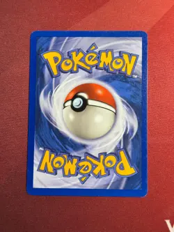 SWINUB 107/144 Skyridge non-holo E-Series / E-Reader Pokemon TCG card NM - Image 3