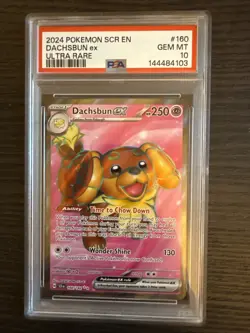 Dachsbun EX 160/142 Ultra Rare 2024 Pokemon Stellar Crown PSA 10 Gem Mint - Image 1