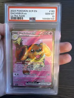 Dachsbun EX 160/142 Ultra Rare 2024 Pokemon Stellar Crown PSA 10 Gem Mint - Image 3