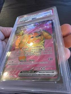 Dachsbun EX 160/142 Ultra Rare 2024 Pokemon Stellar Crown PSA 10 Gem Mint - Image 4
