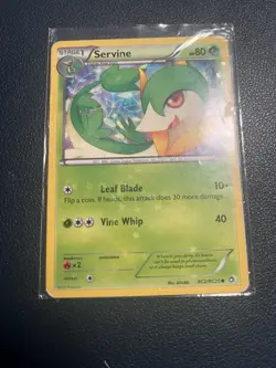 Servine RC2/RC25 Legendary Treasures: Radiant Collection Holo LP Pokemon Common - Image 1