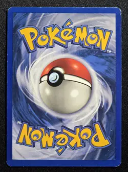 [MP] Pidgeot 08/64 Jungle Holo Pokemon Vintage English Card - Image 4