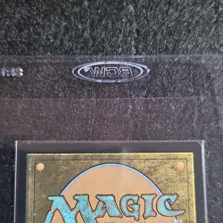 Magic: The Gathering Bebop, Skull & Crossbones 0087 Surge Foil - Image 3