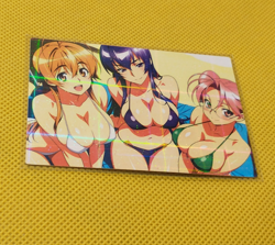 High school of the Dead ACG Waifu Beauty Holo custom Card - Image 1